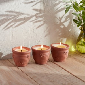 Nature's Garden Candle Gift Box - Set of 3